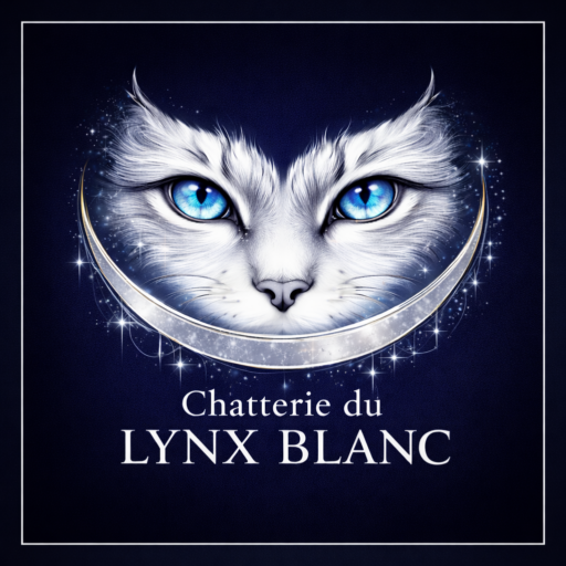 chatteriexdulynxblanc
